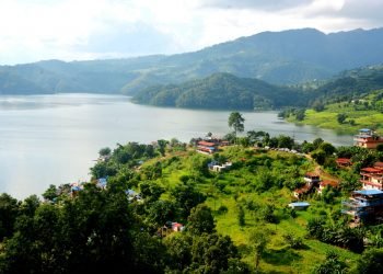 माछा खान माझीकुना