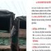 ८७ लाख बराबरको पोटास खाद सहित १३ वटा ट्रक प्रहरीको नियन्त्रणमा