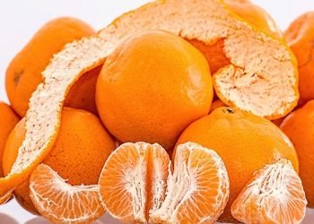 बच्चालाई सुन्तला खुवाउँदा मिल्छ यति धेरै फाइदा