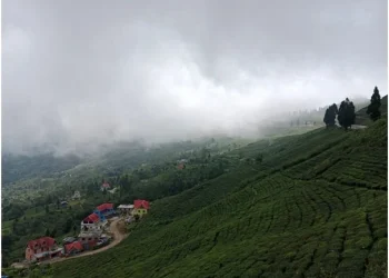 चिया टिप्न हातेमेसिन प्रदान गर्दै सूर्योदय नगरपालिका