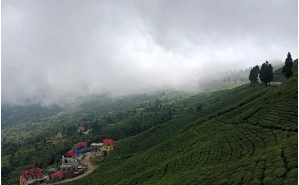 चिया टिप्न हातेमेसिन प्रदान गर्दै सूर्योदय नगरपालिका