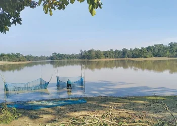 पुरैनाताल स्थानीयवासीको अतिक्रमणमा