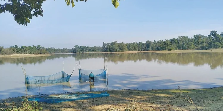 पुरैनाताल स्थानीयवासीको अतिक्रमणमा