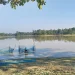 पुरैनाताल स्थानीयवासीको अतिक्रमणमा