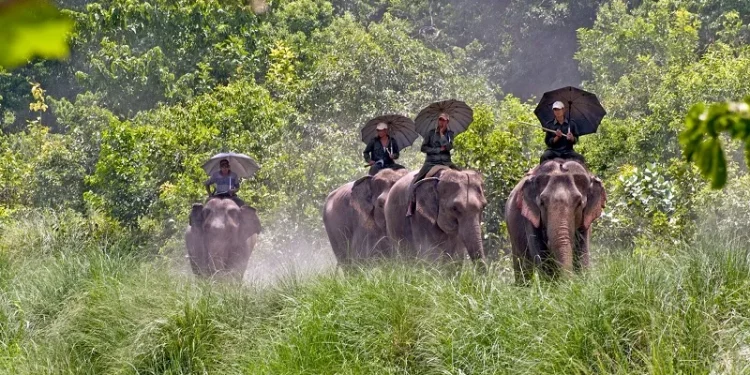 बर्दिया राष्ट्रिय निकुञ्जमा पर्यटक बढे