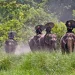 बर्दिया राष्ट्रिय निकुञ्जमा पर्यटक बढे