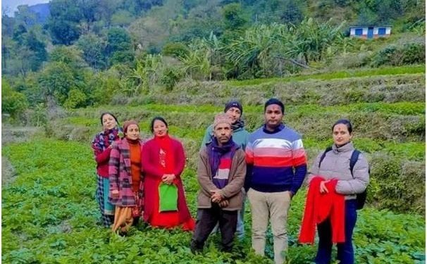 अम्बोटका आमा समूहद्वारा सामूहिक आलुखेती