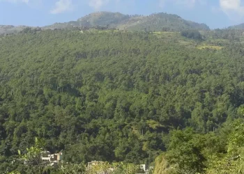 निजी वनको दर्ता अब पालिकाबाट