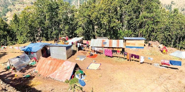 जाजरकोट भूकम्पले भासिए बस्ती, जङ्गलमै बास