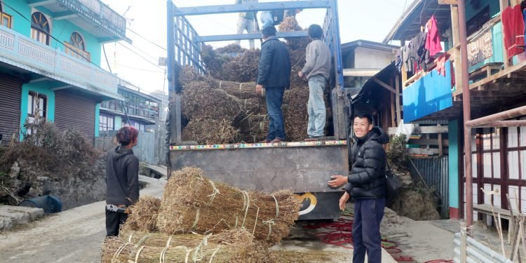 चिराइतोको मूल्य बढ्दो, उत्पादन घढ्दो