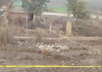 नवलपरासीमा हजुरबुबा र नाती मृत फेला