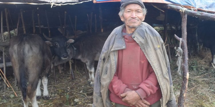 रित्तिँदै म्याग्दीका घुम्ती गोठ