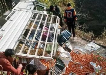 सल्यानमा सुन्तला बोकेको जिप दुर्घटना हुँदा चालकको मृत्यु