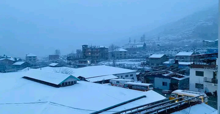 जुम्लामा ढिला गरी हिमपात, जाडो बढे पनि किसान खुशी