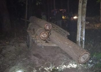 हवाइ फायर गरेर अवैध काठ नियन्त्रण