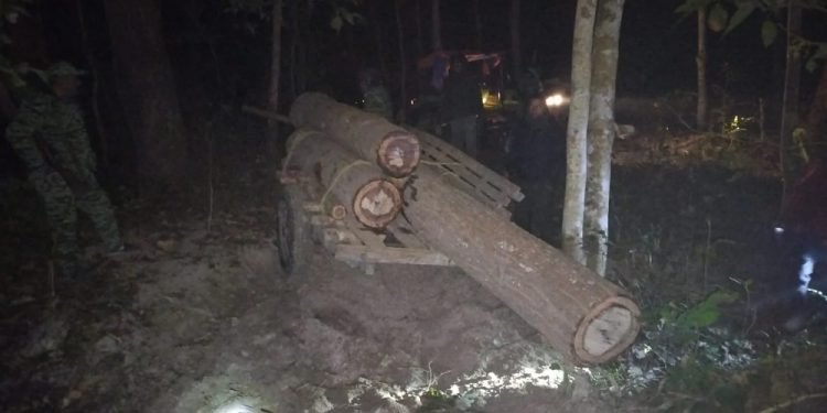 हवाइ फायर गरेर अवैध काठ नियन्त्रण