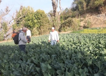 अर्ग्यानिक कृषि उत्पादनमा जुट्दै भोजपुरका किसान