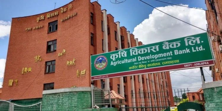कृषि विकास बैंकमा विभिन्न पदमा ११२ जनाका लागि खुल्यो जागिर