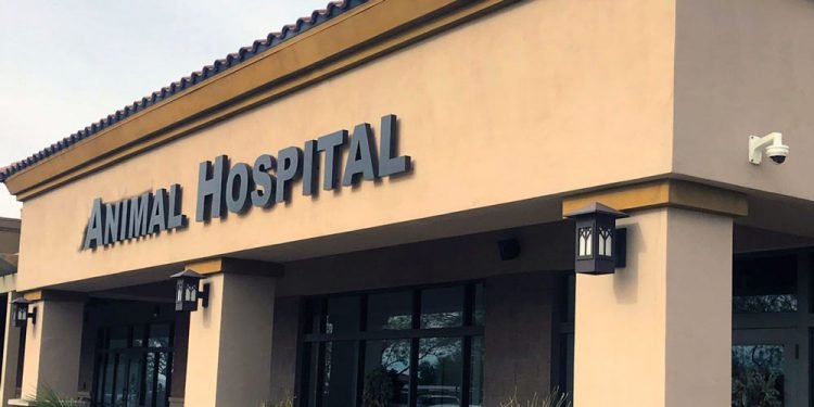 ‘नमूना पशु अस्पताल’ निर्माणको काम अधुरै