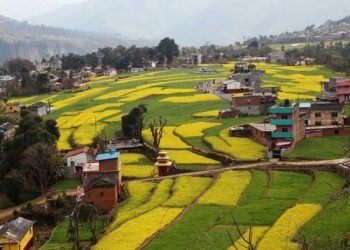 आन्तरिक पर्यटकको गन्तव्य बन्दै रत्नेचौर