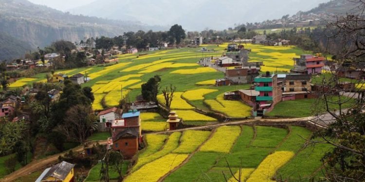आन्तरिक पर्यटकको गन्तव्य बन्दै रत्नेचौर