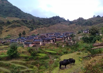 गाउँमा सडक पुग्यो, मासिए सम्पदा