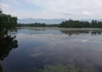 सन्दर्भ विश्व सिमसार दिवसः अत्यधिक दोहनले सङ्कटमा सिमसार
