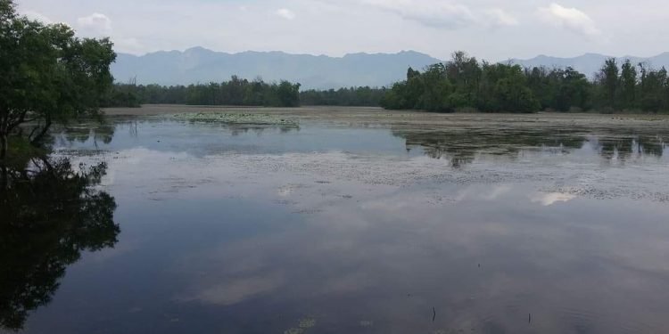 सन्दर्भ विश्व सिमसार दिवसः अत्यधिक दोहनले सङ्कटमा सिमसार