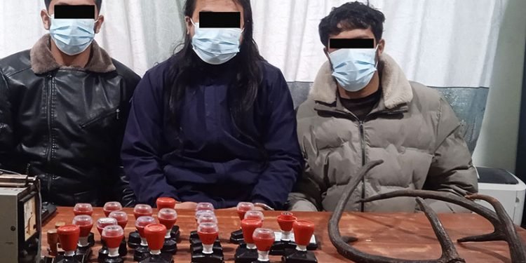 सरकारी नक्कली छाप र जरायाको सिङसहित तीन जना पक्राउ