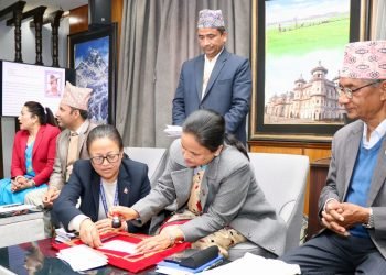 स्वदेशमै छापिएका हुलाक टिकट प्रचलनमा