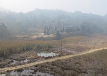 संरक्षणको पर्खाइमा चौबिसेका ताल