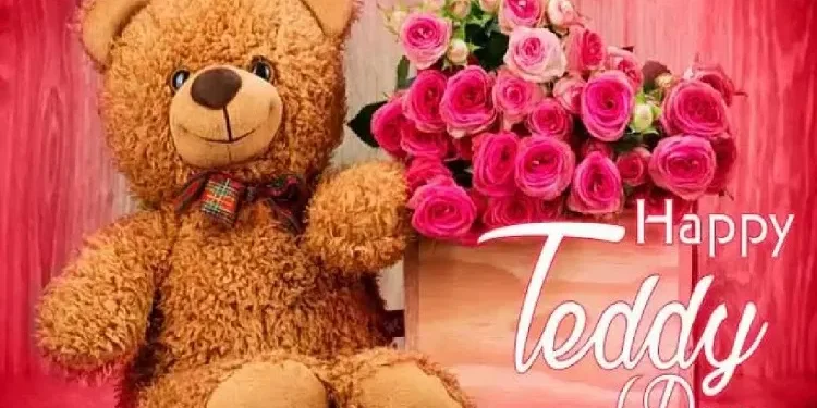 भ्यालेन्टाइन अन्तर्गत आज ‘टेडी डे’