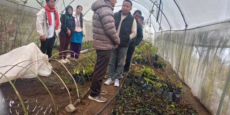 थुलुङ दूधकोशीमा कफीको न्यूनतम समर्थन मूल्य निर्धारण