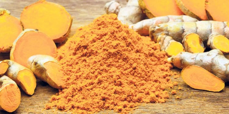 इलामको माङसेबुङमा बेसार प्रवर्द्धन सुरु