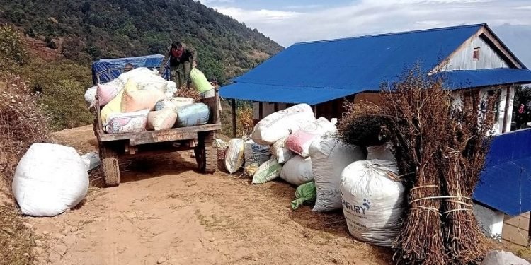 ताप्लेजुङका किसान पुनः चिराइतो खेतीतर्फ