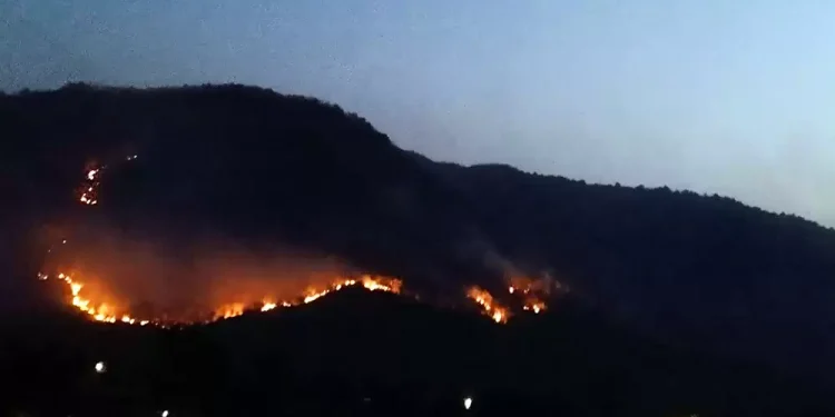 फैलिँदै डढेलो र आगलागी, सचेतनामा जोड