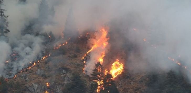 खोटाङमा डढेलोलेबाट २० लाख बढीको क्षति