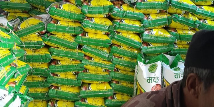 डोटीमा उत्पादित मकैको बिउ झापामा बिक्री