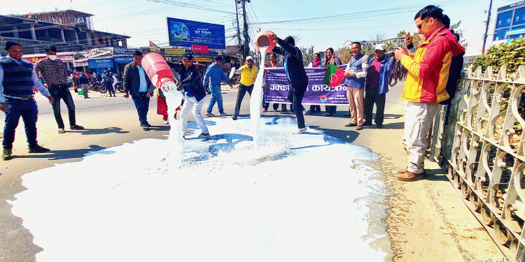 बक्यौता उठाउन दुग्ध किसान पनि सडकमा, राजधानीकेन्द्रित आन्दोलन गर्ने तयारी
