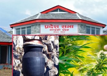 गण्डकी प्रदेश सरकार गाँजा र लोकल रक्सीलाई वैधानिक गर्ने विषयमा अन्य प्रदेश भन्दा सर्वोत्कृष्ठ