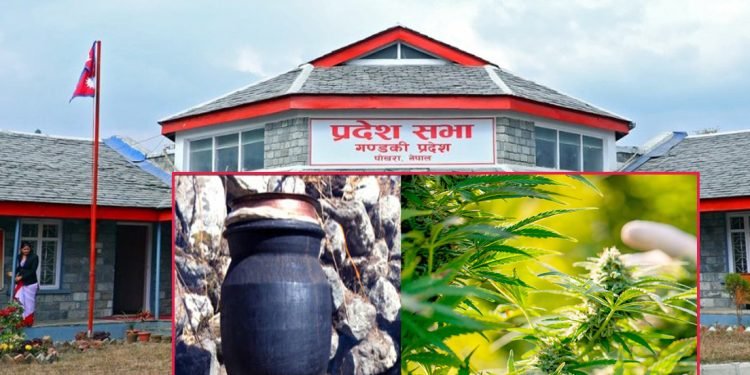 गण्डकी प्रदेश सरकार गाँजा र लोकल रक्सीलाई वैधानिक गर्ने विषयमा अन्य प्रदेश भन्दा सर्वोत्कृष्ठ