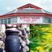 गण्डकी प्रदेश सरकार गाँजा र लोकल रक्सीलाई वैधानिक गर्ने विषयमा अन्य प्रदेश भन्दा सर्वोत्कृष्ठ