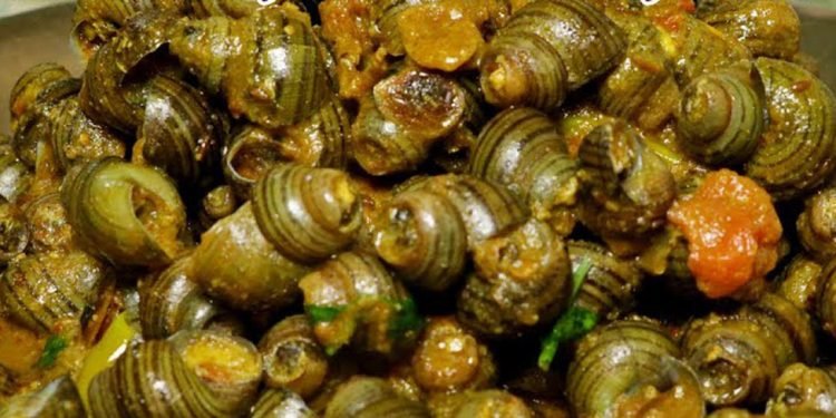 कोहलपुरमा घोङी खाने प्रतियोगिता