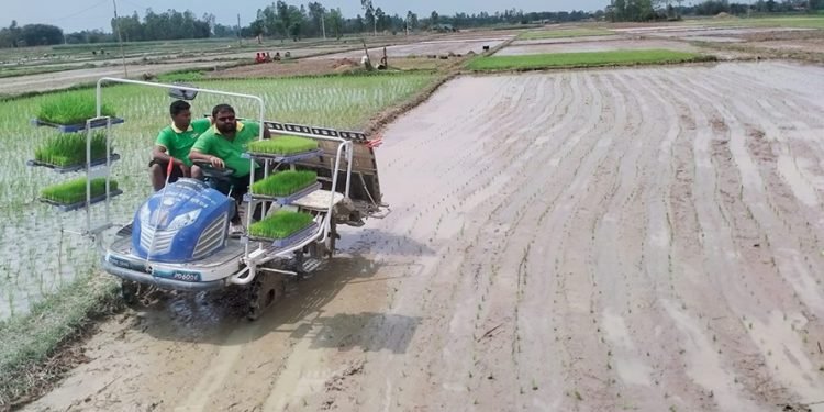 चैते धानखेतीमा झापाका किसानको आकर्षण बढ्दो