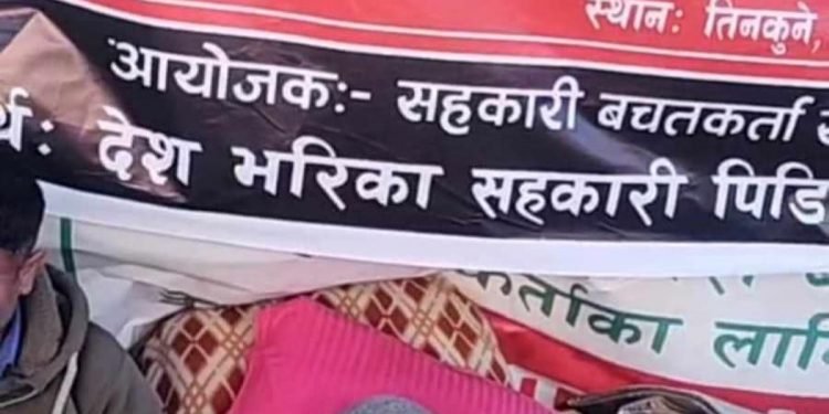 सहकारी पीडितका अगुवा केसीको अवस्था नाजुक, सरकारमाथि दबाब