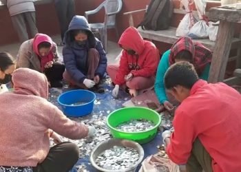 पाथीभरामा चढाएको करिब २३ लाख सिक्का गनिँदै