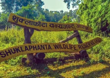 शुक्लाफाँटा राष्ट्रिय निकुञ्जमा खरमयुर गणना सुरु
