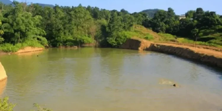 पर्यटकीय गन्तव्य बनाउन हिले–जलजले वनमा ताल निर्माण