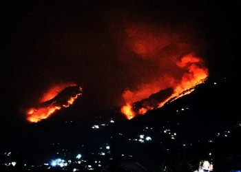 जङ्गलभरि आगलागी : बासस्थान खोज्दै गाउँ झरे वन्यजन्तु