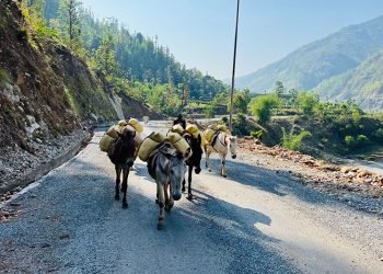 भेरी करिडोरको सतह चाँडै छिचोलिने